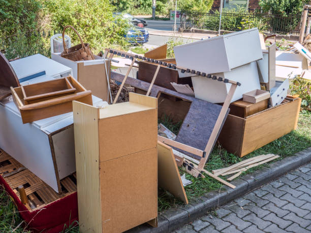 Best Shed Removal  in Albert Lea, MN